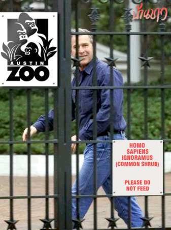 george story